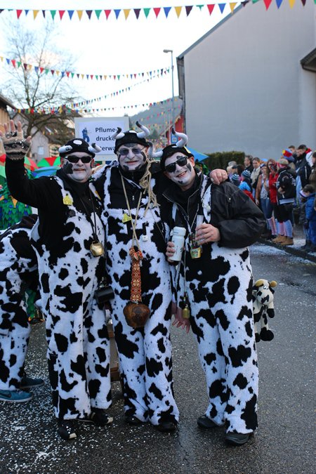 Jubiläumsumzug Schergässler